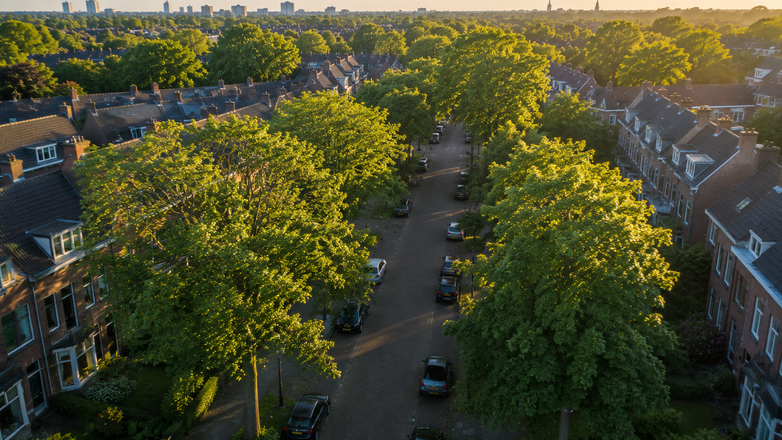 Boomverzorging Zeist