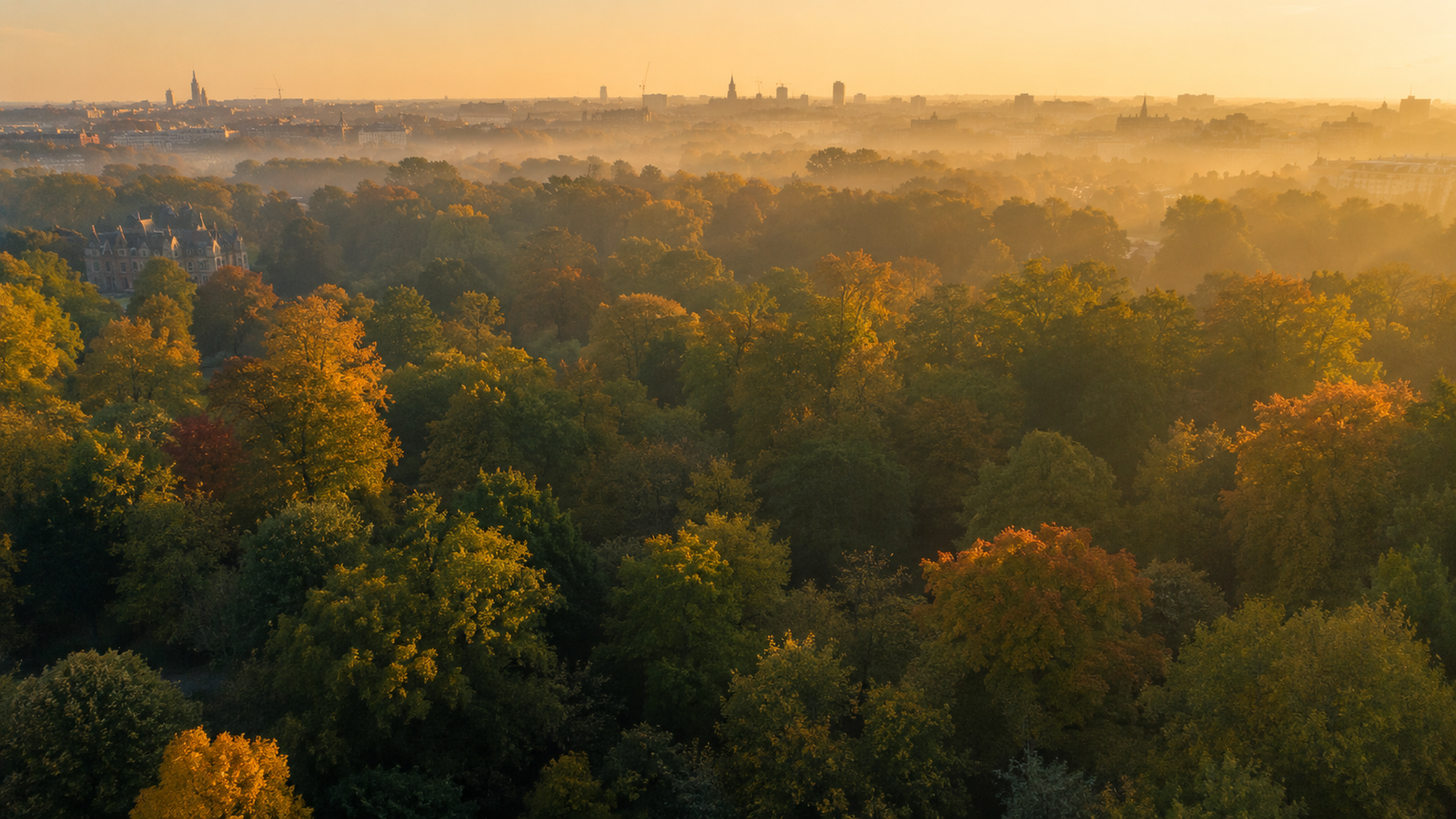 Bomen in Utrecht
